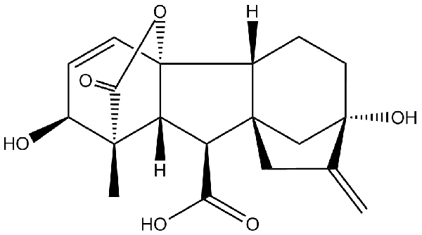 赤霉素GIBBERELLIC ACID，居然有這么神奇？