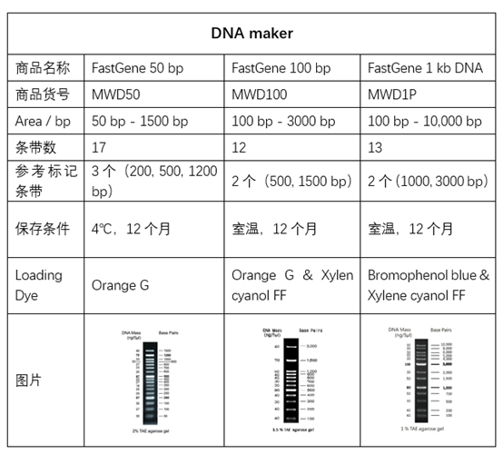 DNA凝膠電泳maker